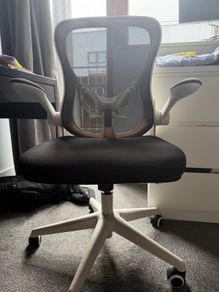 Ergonomic Office Chair