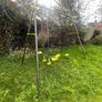 Swings Image 4