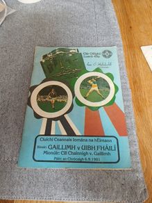1981 Hurling final Galway V Offaly programme