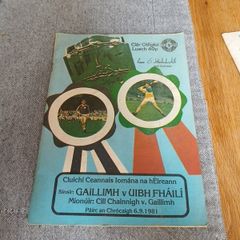 1981 Hurling final Galway V Offaly programme