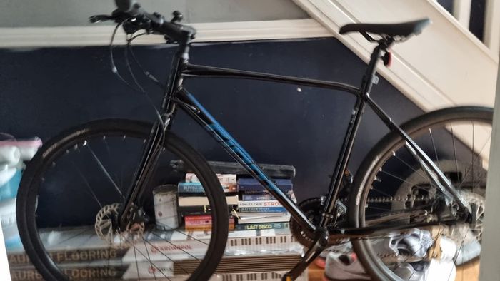 Adult mountain bike
