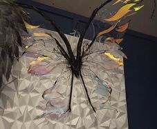 Fairy wings was used as photography prop