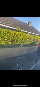 Offering Garden & landscaping Services