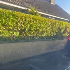 Offering Garden & landscaping Services