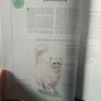 Giant Book of the Cat Image 9