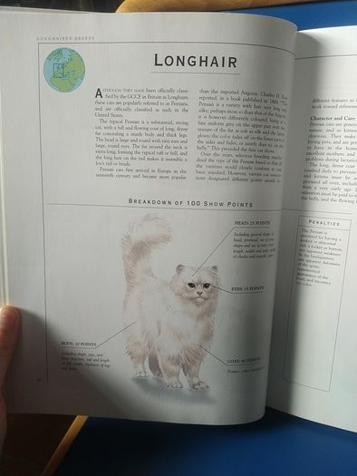 Giant Book of the Cat