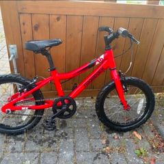 Ridgeback MX 16