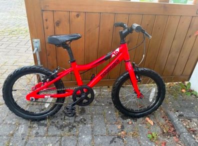 Ridgeback MX 16