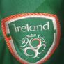Ireland euro 2016 Image 3