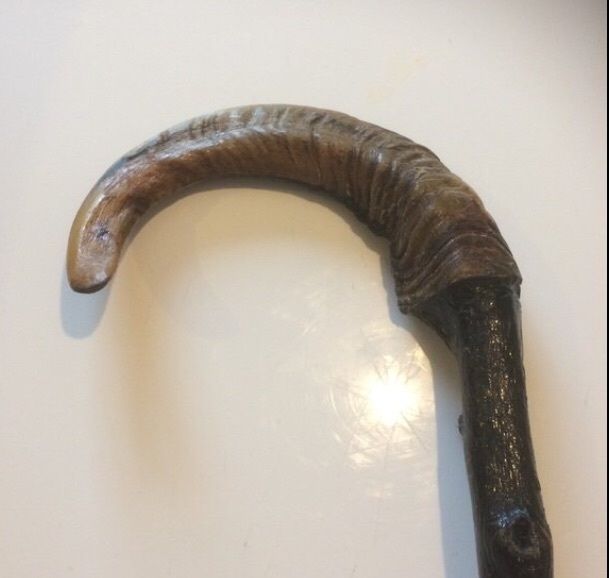 Antique Cane
