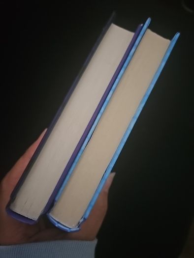 Diary of a Wimpy Kid books