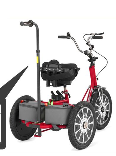 Colt Tricycle Special Needs Adaptive Trike (Like New)