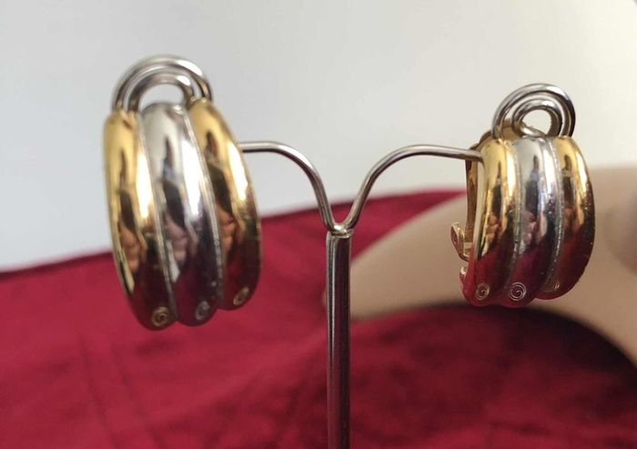 Burberry earrings