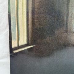 Lloyd Cole & The Commotions Rattlesnakes Irish Press LP Vinyl VG+ Polydor 1984