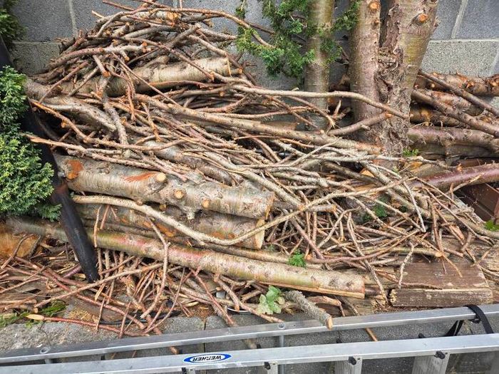Fire wood