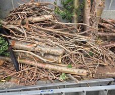Fire wood