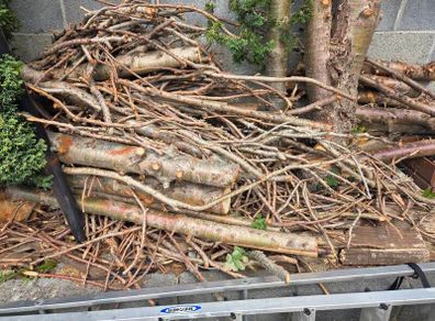 Fire wood