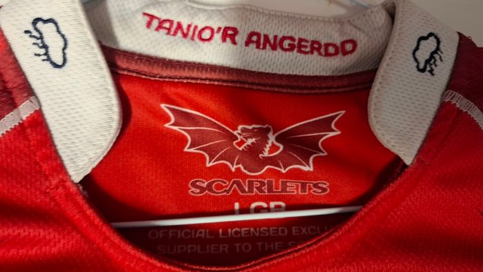 Scarlets Official Kooga Rugby Union Jersey Shirt (Youths 10-11) FREE POST