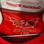 Scarlets Official Kooga Rugby Union Jersey Shirt (Youths 10-11) FREE POST Image 4