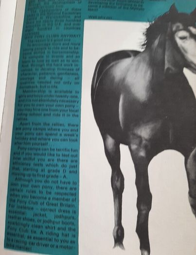 Follyfoot annual vintage1977
