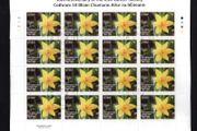 2013 Ireland 50th Anniversary of Irish Cancer Society Stamp Sheetlet Plate 1A1A1A1A Fine CDS Used with Dublin cancel of 21st March 2013 (Frist day of issued) on envelope extract.