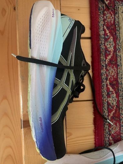 Asics Kayano