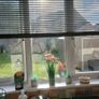Venetian Blind Image 2