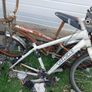 bikes Image 2