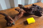 Large Bogwood