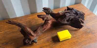 Large Bogwood