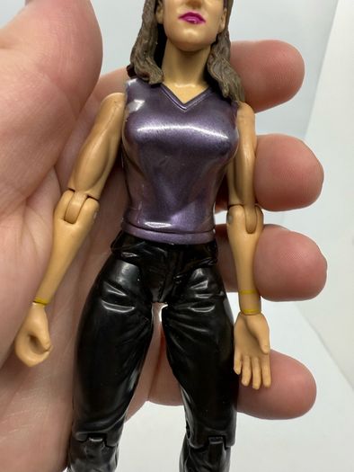 wwe Stephanie McMahon action figure