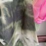 dress Bnwt mesh dress long sleeves size small 10-12 primark Image 4