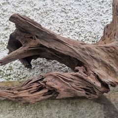 Aquarium wood
