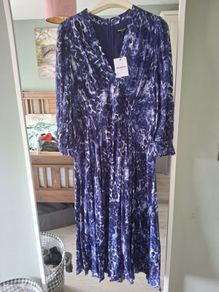 bnwt whistles dress