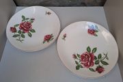 J and G Meakin rose Plates