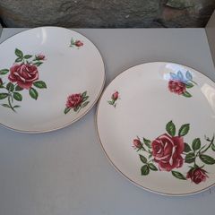J and G Meakin rose Plates