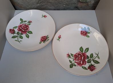 J and G Meakin rose Plates