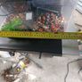 Fish tank Image 5
