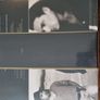 U2 fan club plus -  vinyl, dvd  cd and books collection unopened and new Image 9