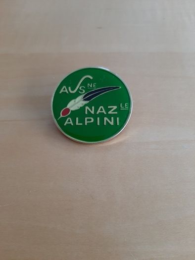 Italian army-related badges