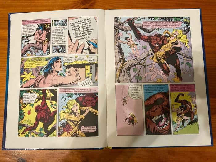 Comic: 'Tarzan' annual 1976