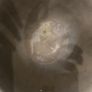 Genesis Bowl - large Image 6