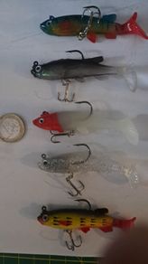 5 Soft Minnows