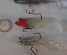5 Soft Minnows