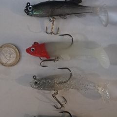 5 Soft Minnows
