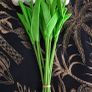 Artificial White Tulips 10 Stems 34cm Image 3