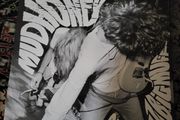 Mudhoney: superfuzzbigmuff LP