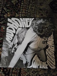 Mudhoney: superfuzzbigmuff LP