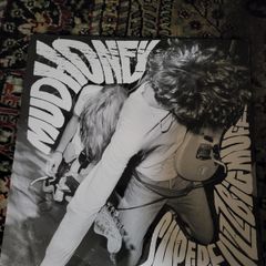 Mudhoney: superfuzzbigmuff LP