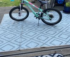 Girl's 20' mountain bike